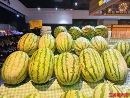 长沙西瓜价格“大跳水”“吃瓜自由”提前到位
